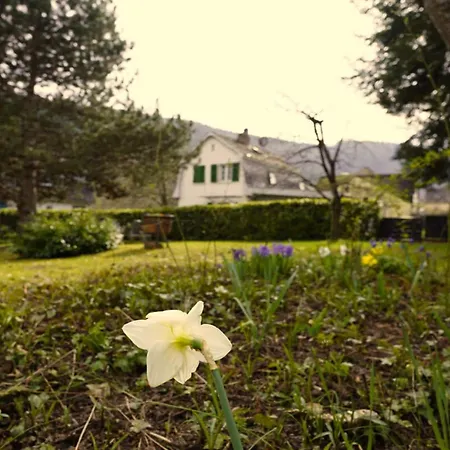 On The Lay * Traben-Trarbach